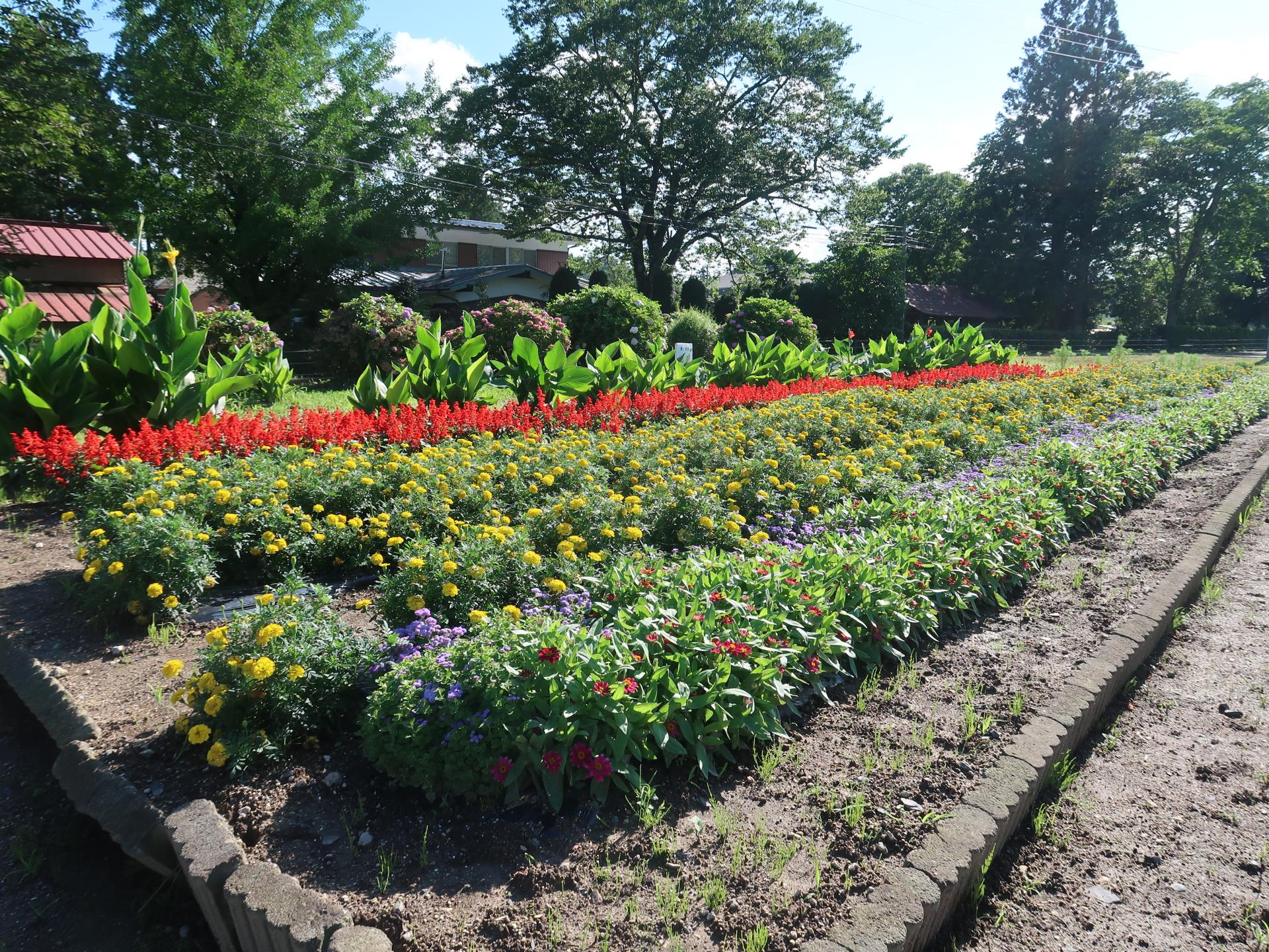 東中田喜楽会の花壇の写真